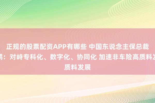 正规的股票配资APP有哪些 中国东说念主保总裁赵鹏:对峙专科化、数字化、协同化 加速非车险高质料发展