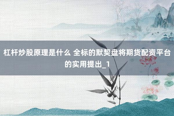 杠杆炒股原理是什么 全标的默契盘将期货配资平台的实用提出_1